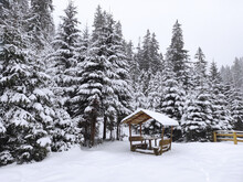 Falling Snow. Gazebo For Relaxing In Forest. Carpathian Mountains.