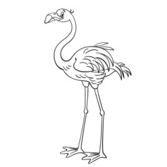 Poster - Pink flamingo. Black and white picture in cartoon style. Isolated on white background. For coloring book. Vector illustration. 