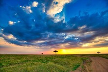 Landscape In The Maasai Mara National Reserve At Late Afternoon.