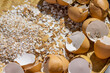 crushed eggshell natural shell source of calcium carbonate and recycle raw material