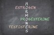 Female sex hormones estrogen progesterone and testosterone on blackboard written in crossword. 