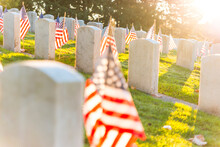 Veterans Day,scene Of Military Graveyard Landscape With A Flag On Autumn.