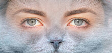 A Young Girl With Beautiful Gray Eyes With A Gray Cat Face