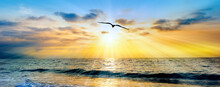 Sunset Ocean Bird Silhouette Inspiration Banner