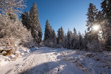 Ein Weg Im Winterwald Im Sonnenschein Im Fichtelgebirge Wandern