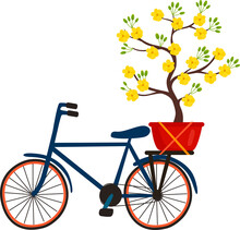 A Bicycle With A Vietnam Yellow Blossom Apricot Tree (Ochna Integerrima) Flower For Tet Holiday.