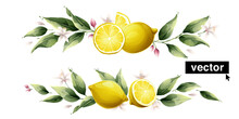 Beautiful Horizontal Vector Pattern With Watercolor Yellow Lemon Fruits, Leaves, And Flowers.