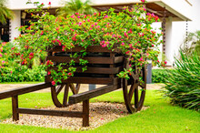 Decorative Wooden Cart With Flowers