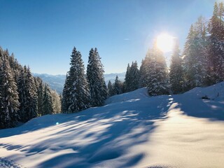 Sticker - Winterlandschaft