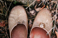 Plastic Slippers Abandoned In Nature
