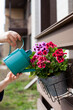 © Dina - woman watering colorful geranium flowers with watering can in the backyard garden of her house
