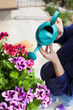© Dina - woman watering colorful geranium flowers with watering can in the backyard garden of her house