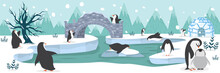 North Pole Arctic Penguins Animal Background
