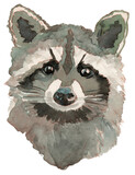 Fototapeta  - The raccoon watercolor portrait