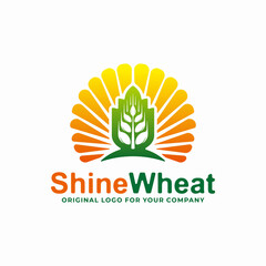 Shine wheat, grain logo design template.