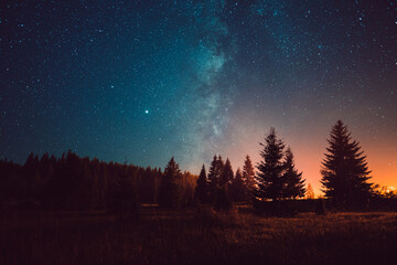 night sky with the milky way over the forest
