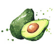 Avocado watercolor illustration
