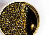 Black Caviar. Sturgeon Eggs In A Can Already Started. Acipenseridae