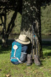 Backpack of a pilgrim leaning against a tree with a hat, trekking boots and poles in a wooded area. Camino de Santiago concept