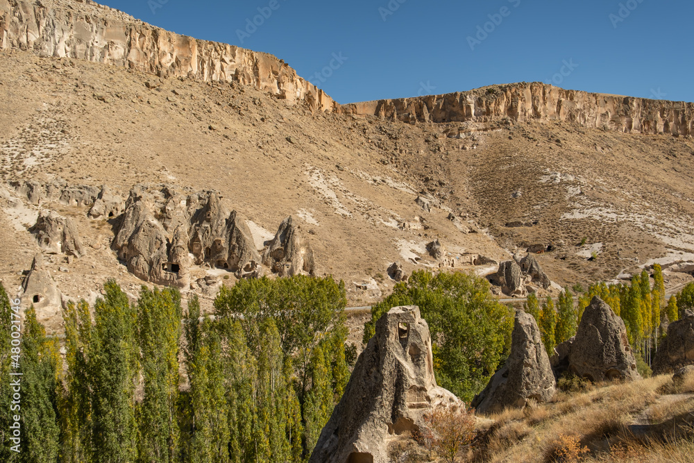 Fairy chimneys in Cappadocia valley, Turkey. Mushroom shaped rocks ...