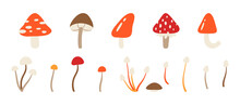 Large Set Of Different Abstract Mushrooms. Botanical Clipart With Isolated Mushrooms On A White Background. Colorful Flat Vector Illustration