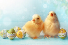 Easter Composition With Colorful Easter Eggs, Chicks On Blue Background.