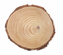 Tree Trunk Cross Section, Wooden Stump Isolated On White Background With Clipping Path, Top View