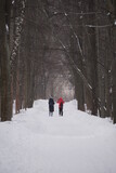 Fototapeta Miasto - people walking in the snow