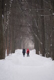 Fototapeta Miasto - walking in the snow