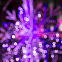 Canvas Print - sparkling pink purple bokeh