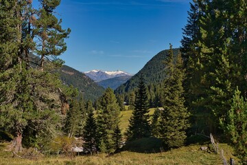 Wall Mural - Alto Adige Trentino Italia No People Outdoor