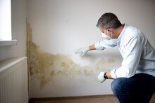 Man With Mouth Nose Mask And Blue Shirt And Gloves N Front Of White Wall With Mold