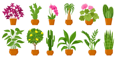 Cartoon potted plants, home and garden flowers in pots. Botanical flower pots, interior plants decor vector illustration set. Flowers and plants in pots