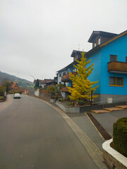 Wall Mural - view from the car window on the road among the city with beautiful houses in Germany