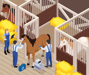 Sticker - Horse Veterinary Isometric Composition