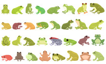 Frog Icons Set Cartoon Vector. Toad Water. Tadpole Catch