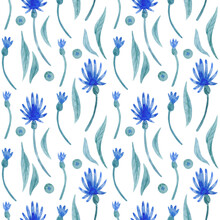 Watercolor Pattern With Blue Flowers And Leaves Isolated On White Background.