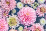 Fototapeta Kwiaty - ピンクの花手水