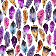Seamless Watercolor Feather Free Stock Photo - Public Domain Pictures
