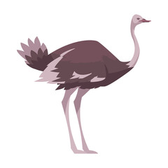 Sticker - Ostrich Flat Icon