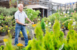 Mature man retired chooses plant for summer residence