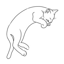 Sleeping Cat In Black White #animal #cat #pet #illustration #tattoo #clipart