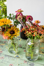 Jars With Bouquets Of Harvested Urban Farm Flowers