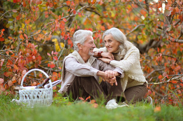 Wall Mural - Portrait of senior couple having picnic outdoors