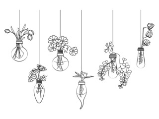 Set of flower in hanging light bulbs. Collection of floral light bulbs with botanical elements. Lamp vase field flowers. Home decoration. Vector illustration on white background.