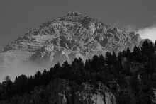 Paesaggio Di Montagna Con Alberi In Bianco E Nero