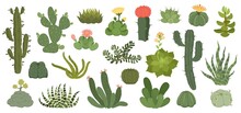 Cute Cactus And Succulents With Flowers, Exotic Desert Plants. Spiky Succulent With Flowering Blossom, Home Decor Terrarium Plant Vector Set. Green Spiny Cartoon Elements With Bloom