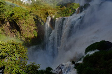  Cataratas del Iguazu