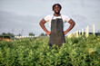 © Roman - Man working in organic vegetables farm. black handsome Male in garden, worker in black uniform, standing above plantation. Food production business. harvesting fresh vegetables in garden