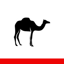 Camel For Riding In The Desert, Vector Icon